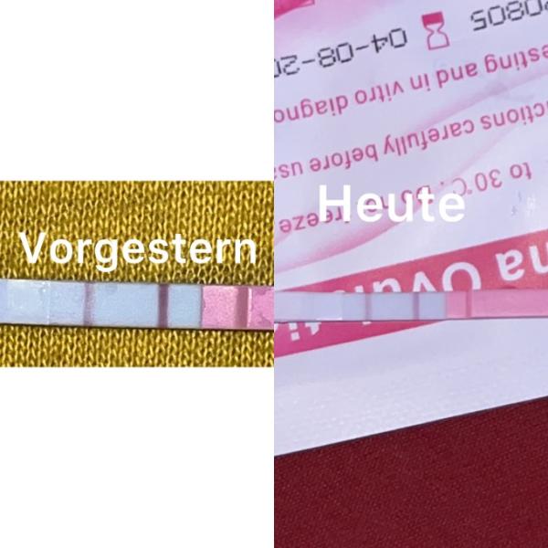 Bild zu Gutes orakel ? - Kinderwunsch - was tun, um schwanger zu werden?