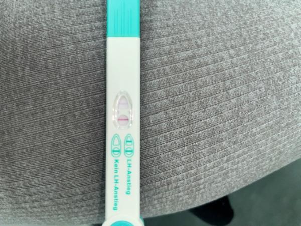 Bild zu Ovulationstest - Kinderwunsch - was tun, um schwanger zu werden?