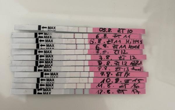 Bild zu OVU TESTS - Kinderwunsch - was tun, um schwanger zu werden?