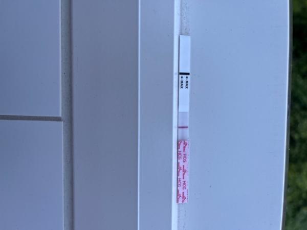 Bild zu Zu „blöd“ um schwanger zu werden? - Kinderwunsch - was tun, um schwanger zu werden?