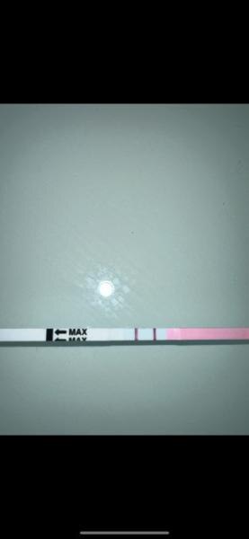 Bild zu Ist das ein positiver Ovulationstest ? - Kinderwunsch - was tun, um schwanger zu werden?