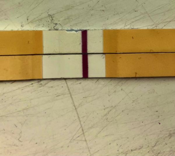 Bild zu Schatten Es+8/9 Violatest - Kinderwunsch - was tun, um schwanger zu werden?