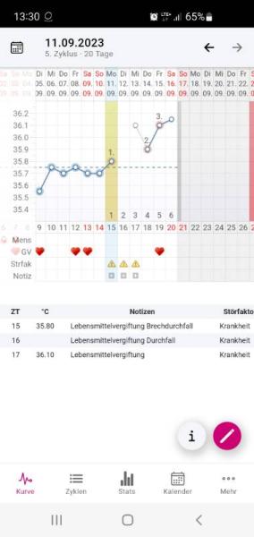 Bild zu 