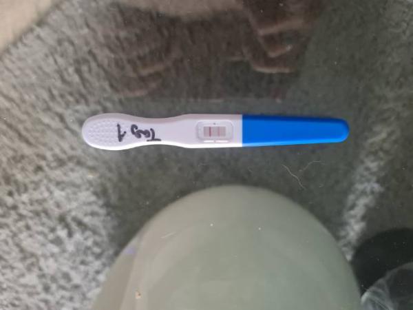 Bild zu Ovulationstest - Kinderwunsch - was tun, um schwanger zu werden?