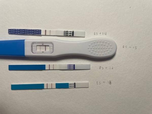 Bild zu Test positiv? Wann zum Arzt? Angst vor Abgang - Kinderwunsch - was tun, um schwanger zu werden?