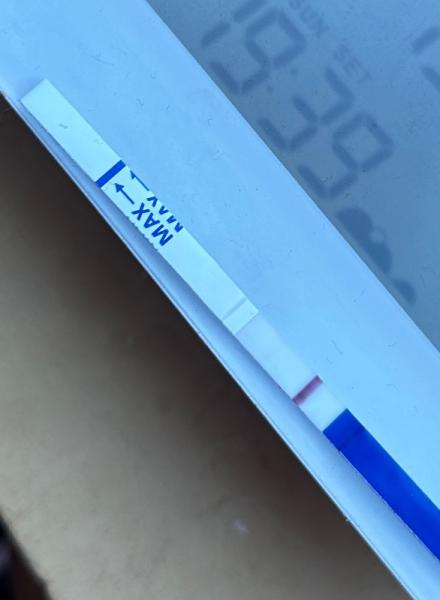 Bild zu Ist der Test positiv?! - Kinderwunsch - was tun, um schwanger zu werden?