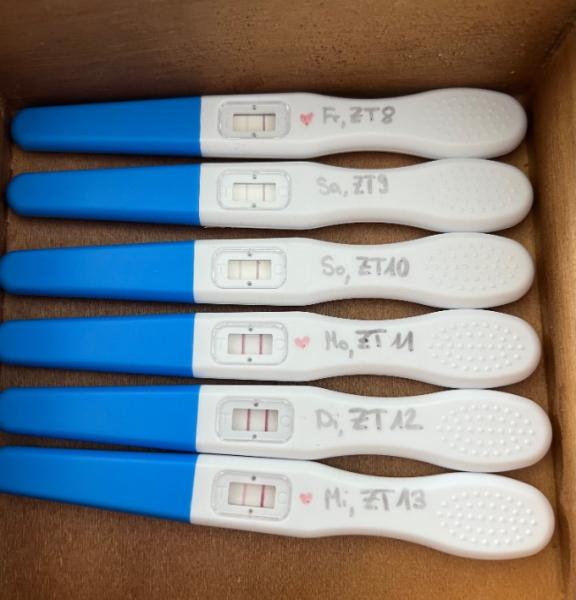 Bild zu Ovulation und FA - Kinderwunsch - was tun, um schwanger zu werden?