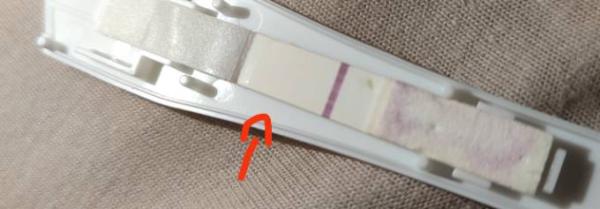 Bild zu VL? - Kinderwunsch - was tun, um schwanger zu werden?
