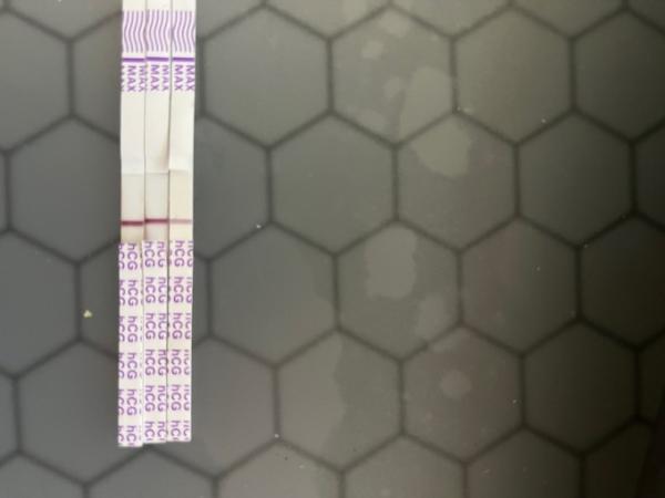 Bild zu Tipps Schwangerschaft nach Fehlgeburt - Kinderwunsch - was tun, um schwanger zu werden?