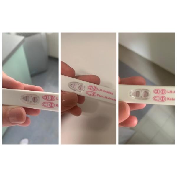 Bild zu Ovulationstest - Kinderwunsch - was tun, um schwanger zu werden?