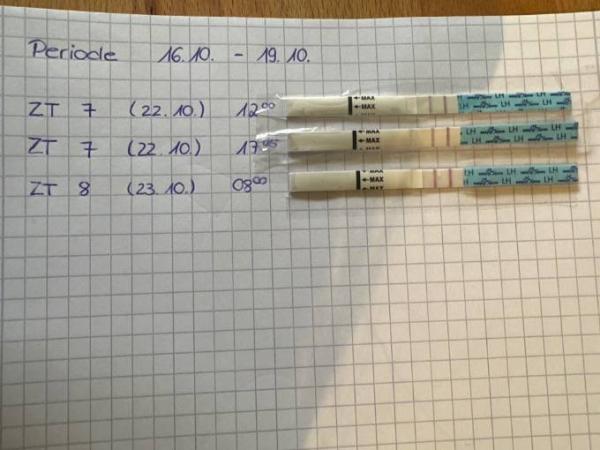 Bild zu Ovulationstest ZT8 - Kinderwunsch - was tun, um schwanger zu werden?