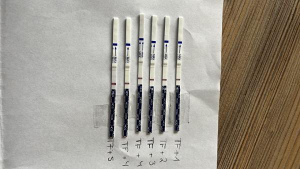 Bild zu Hat die ICSI geklappt? - Kinderwunsch - was tun, um schwanger zu werden?