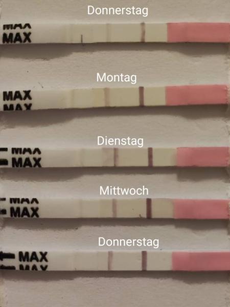 Bild zu Zyklustag 42 ovo positiv SST negative - Kinderwunsch - was tun, um schwanger zu werden?