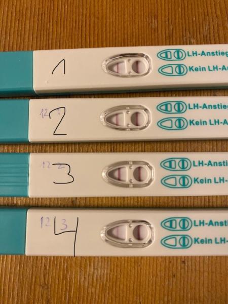 Bild zu Hilfe bei deuten von Ovulationstests - Kinderwunsch - was tun, um schwanger zu werden?