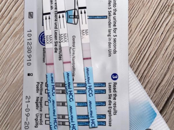 Bild zu Testwirrwar - Kinderwunsch - was tun, um schwanger zu werden?