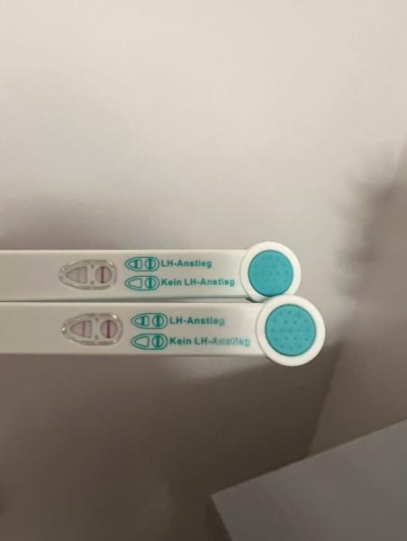 Bild zu Ovu-Tests Einschätzung - Kinderwunsch - was tun, um schwanger zu werden?
