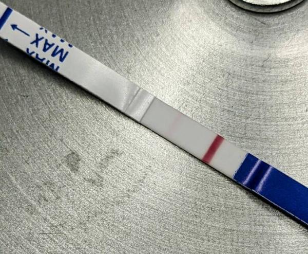 Bild zu Ist der Test Positiv? - Kinderwunsch - was tun, um schwanger zu werden?