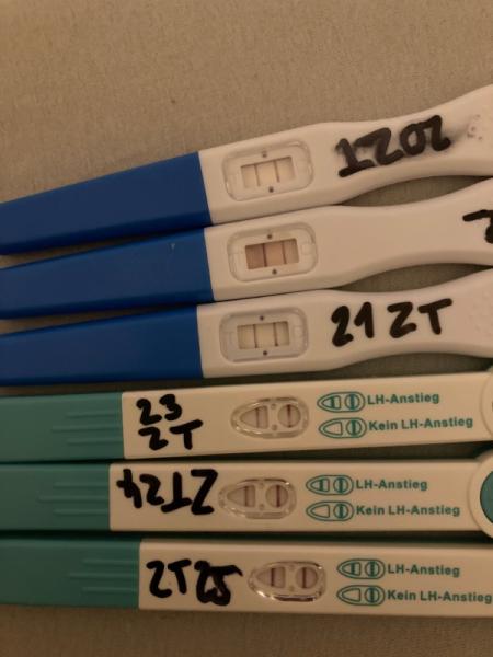 Bild zu Ovulationstest Orakel positiv? - Kinderwunsch - was tun, um schwanger zu werden?