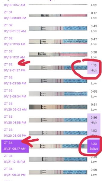 Bild zu Ovulation Test Hilfe - Kinderwunsch - was tun, um schwanger zu werden?