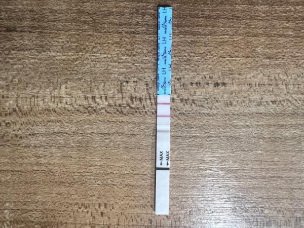 Bild zu Ovulationstest mal eine Frage 😇 - Kinderwunsch - was tun, um schwanger zu werden?