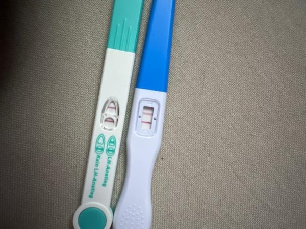 Bild zu Kinderwunsch es+13 die Ovus werden doller - Kinderwunsch - was tun, um schwanger zu werden?