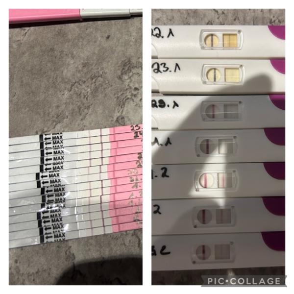 Bild zu Ovulationstest - Kinderwunsch - was tun, um schwanger zu werden?