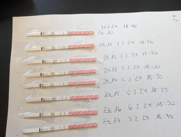 Bild zu Rosa Blutung und Krämpfe - Kinderwunsch - was tun, um schwanger zu werden?