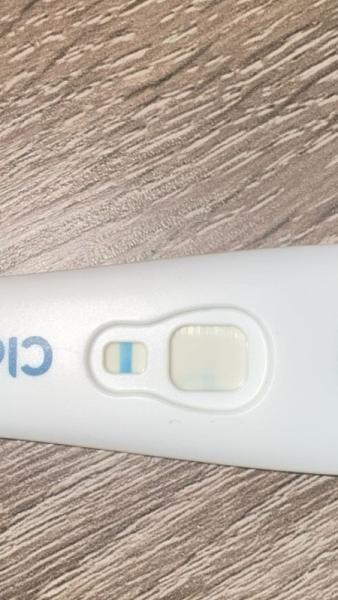 Bild zu Schwanger? - Kinderwunsch - was tun, um schwanger zu werden?