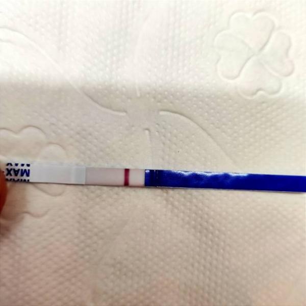 Bild zu Neuer Test - Kinderwunsch - was tun, um schwanger zu werden?