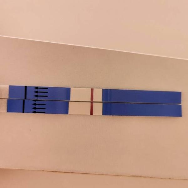 Bild zu Update Drogerie Test 😀 - Kinderwunsch - was tun, um schwanger zu werden?