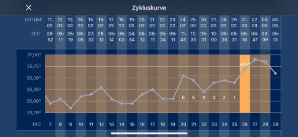 Bild zu 