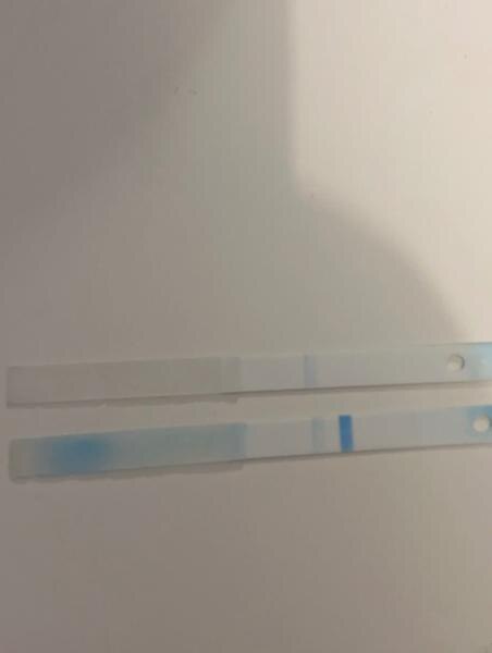 Bild zu Clearblue Negativ - Kinderwunsch - was tun, um schwanger zu werden?