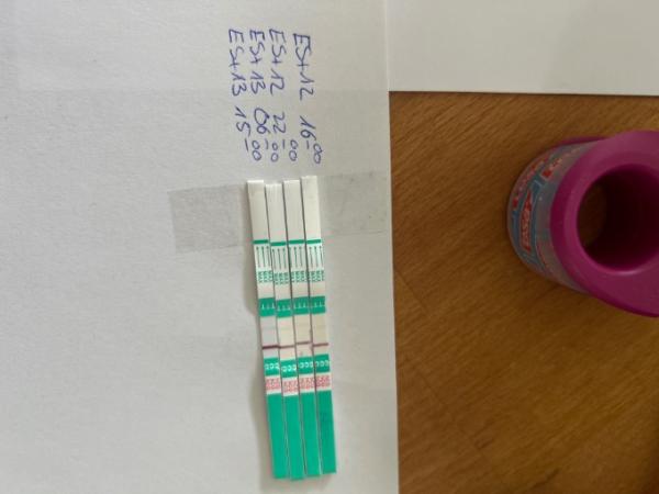 Bild zu Biochemische Schwangerschaft? - Kinderwunsch - was tun, um schwanger zu werden?