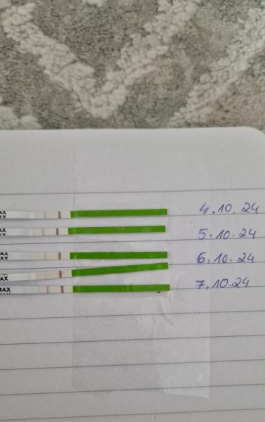 Bild zu Meine Blastemperatur stimmt nicht mit dem Ovulationtest überein - Kinderwunsch - was tun, um schwanger zu werden?