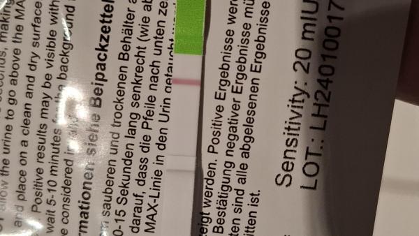Bild zu Mönchpfeffer und LH - Kinderwunsch - was tun, um schwanger zu werden?