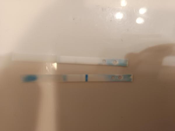 Bild zu Clearblue digital - Kinderwunsch - was tun, um schwanger zu werden?