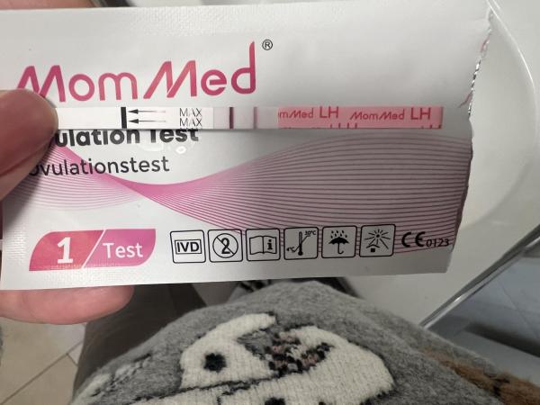 Bild zu Ovulationstest - Kinderwunsch - was tun, um schwanger zu werden?