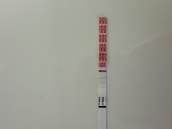 Bild zu Ist der Test positiv? - Kinderwunsch - was tun, um schwanger zu werden?