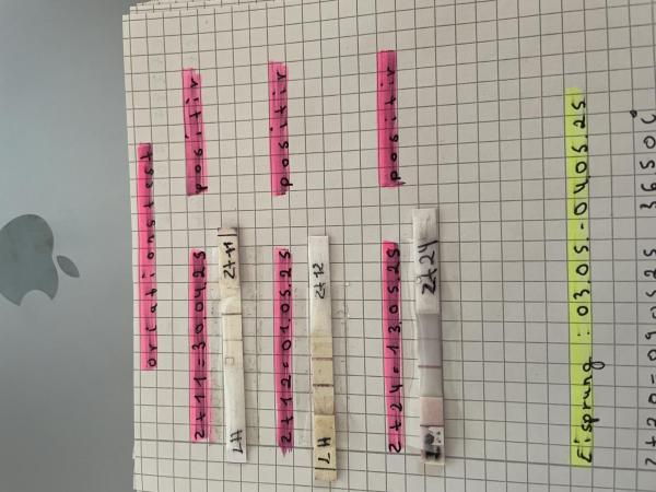 Bild zu Ovulationstest postiiv Schwangerschaftstest negativ - Kinderwunsch - was tun, um schwanger zu werden?