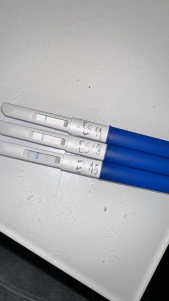 Bild zu Kinder Wunsch mit Clear Blue Monitor - Kinderwunsch - was tun, um schwanger zu werden?