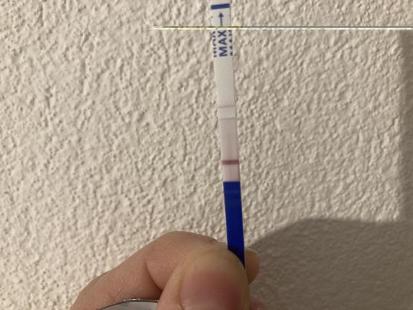 Bild zu Schwanger ? - Kinderwunsch - was tun, um schwanger zu werden?