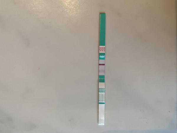 Bild zu Ist dieser Test gültig? NMT+2/3 - Kinderwunsch - was tun, um schwanger zu werden?