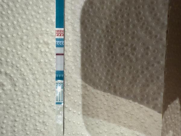 Bild zu Schwanger - Kinderwunsch - was tun, um schwanger zu werden?