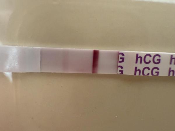 Bild zu Zyklustag 17 sst positiv - Kinderwunsch - was tun, um schwanger zu werden?