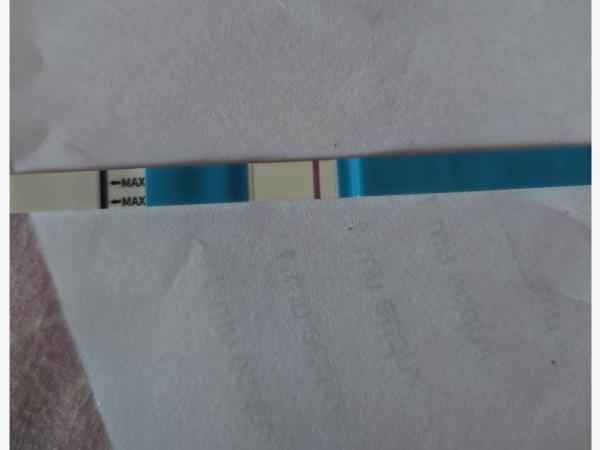 Bild zu Sst test von Höga - Kinderwunsch - was tun, um schwanger zu werden?