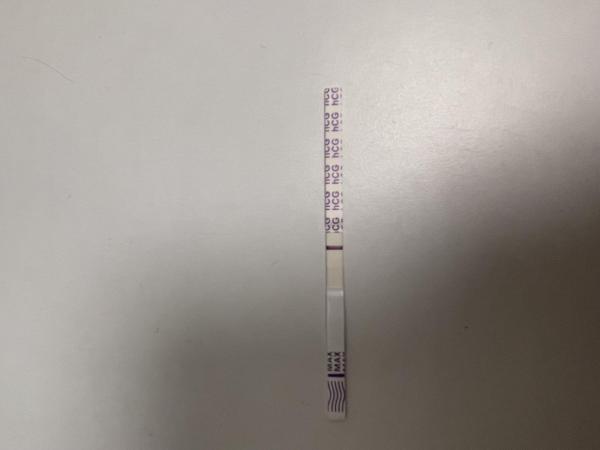 Bild zu Schwangerschaftstest - Kinderwunsch - was tun, um schwanger zu werden?