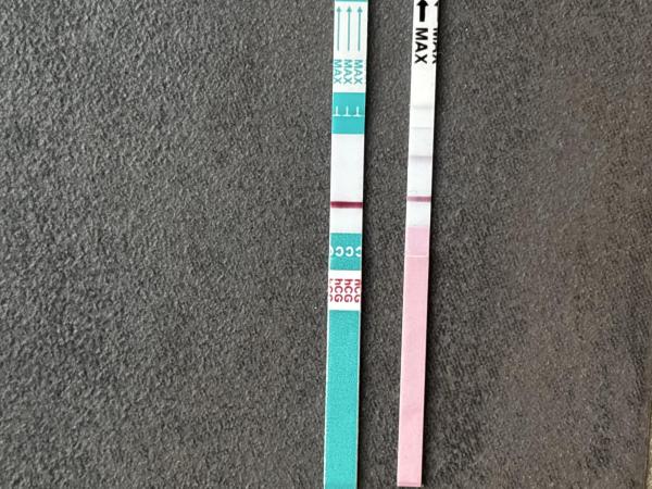 Bild zu Es+12 Test Ovu und sst - Kinderwunsch - was tun, um schwanger zu werden?
