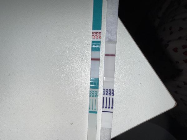 Bild zu ich bin heute ungefähr bei ES+12 Und brauche eure Hilfe !!! - Kinderwunsch - was tun, um schwanger zu werden?