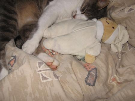 Bild zu