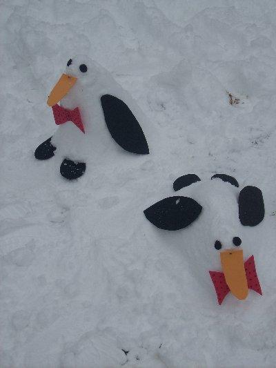 Bild zu schaut mal unsere neuen Haustiere- naja sie leben im Garten - Sparforum - Forum rund ums Sparen